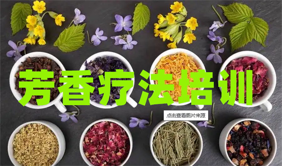 深圳芳疗师线下培训机构倾情推荐一览