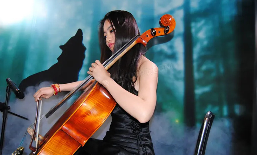 五大大提琴网课在线平台培训机构排名一览倾情推荐.jpg 五大大提琴网课在线平台培训机构排名一览倾情推荐.jpg