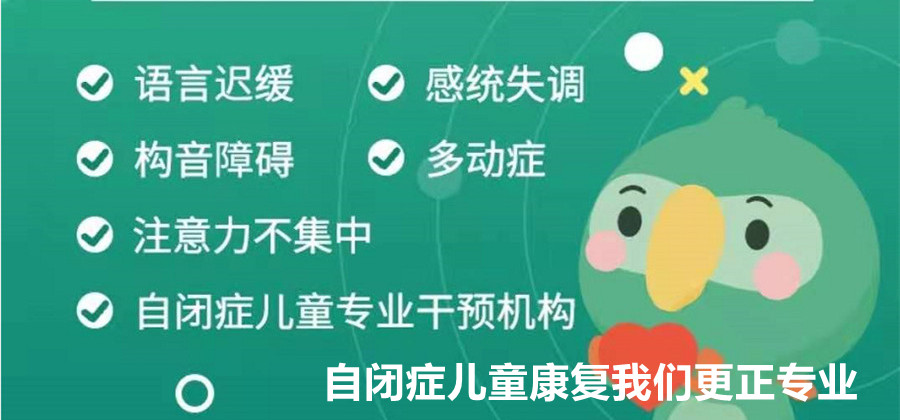 武汉3大儿童自闭症康复机构排名一览
