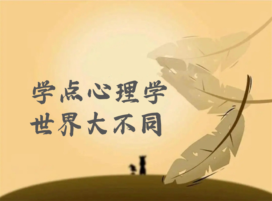苏州心理咨询师考证机构五大排名一览-推荐德瑞姆