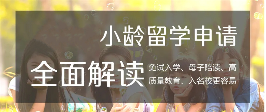 辽宁高中生出国留学机构十大排名-辽宁亨泰莱留学