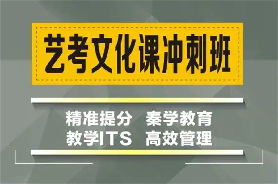 广东口碑好的艺考文化课集训营排名