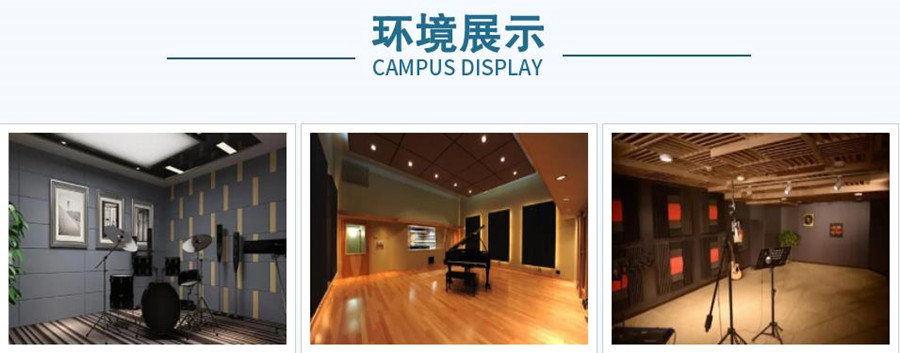 重庆专业少儿声乐培训中心排行榜 重庆专业少儿声乐培训中心排行榜