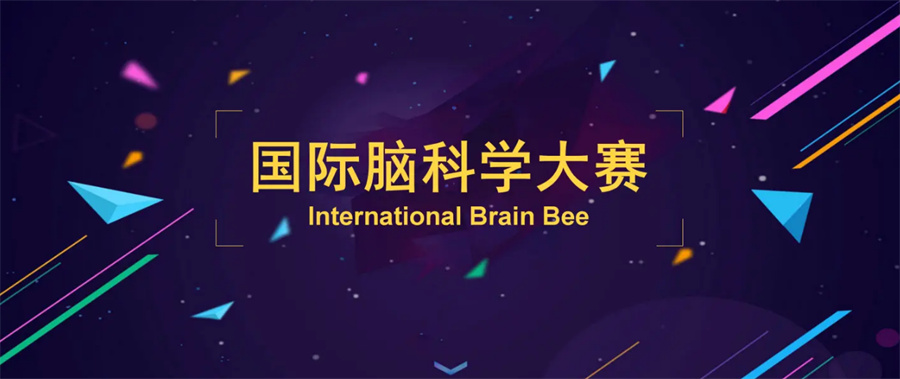 青少年脑科学竞赛辅导机构3大排名-Brain Bee脑科学赛辅导机构