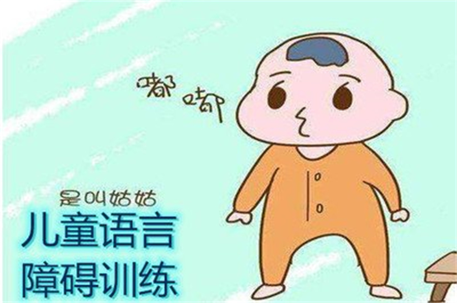 绍兴柯桥语言障碍干预机构实力排名