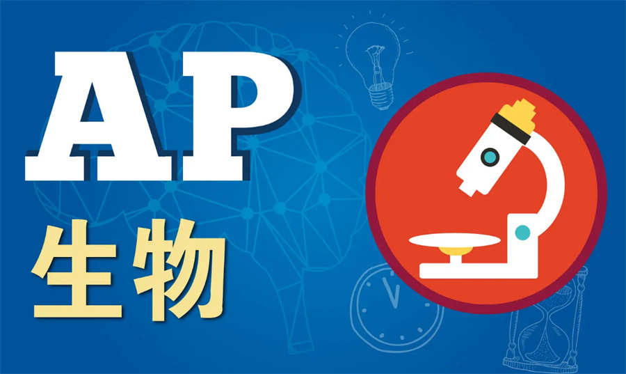 十大培训ap课程专业机构排名公布-国际教育