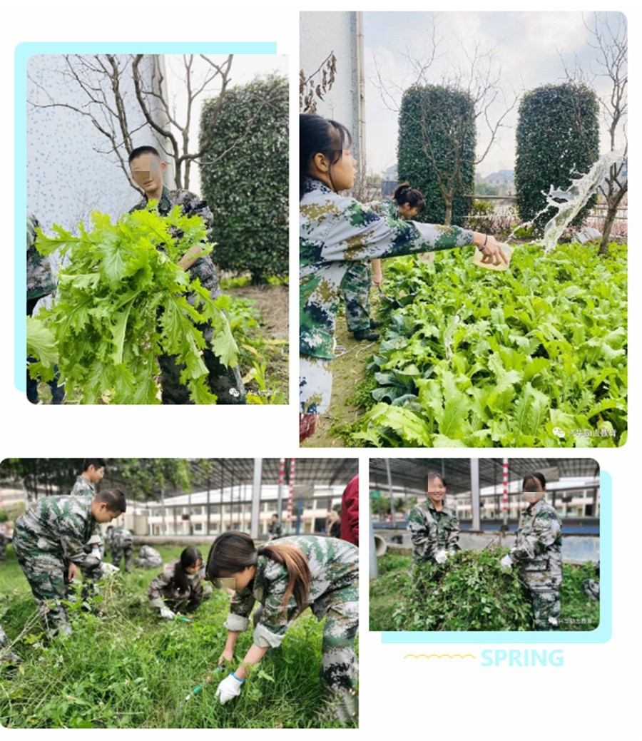 舟山青少年叛逆封闭式基地排名top10-浙江兴华励志