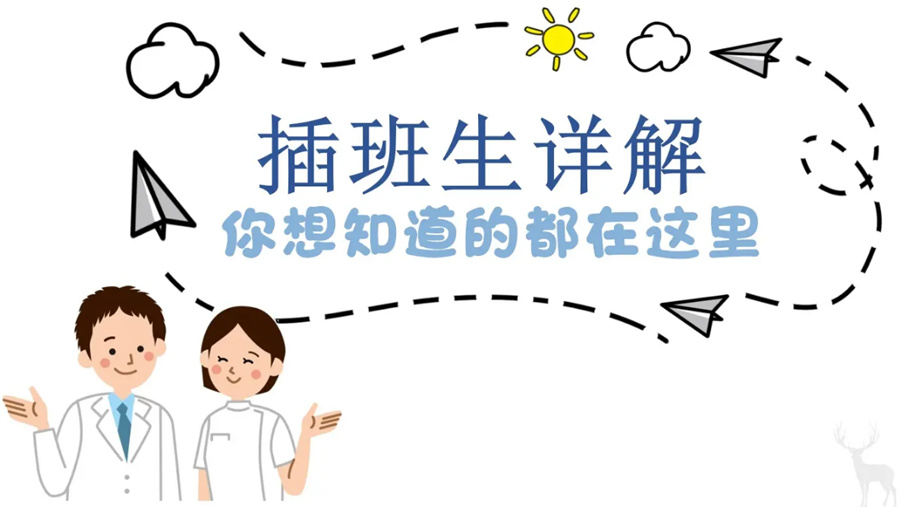 2023广州国际学校插班生招生简章-国际学校排名列表