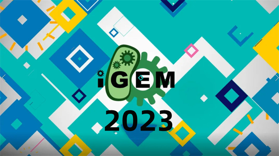 iGEM国际基因工程大赛辅导班实力排名-思客国际生物竞赛培训中心