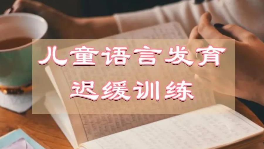 长沙排名前五的语言矫正康复培训机构名单一览 长沙排名前五的语言矫正康复培训机构名单一览