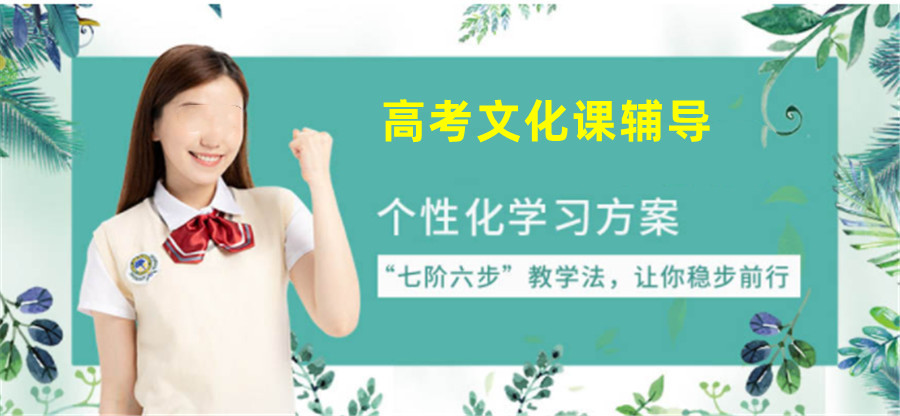 高考文化课全科辅导机构