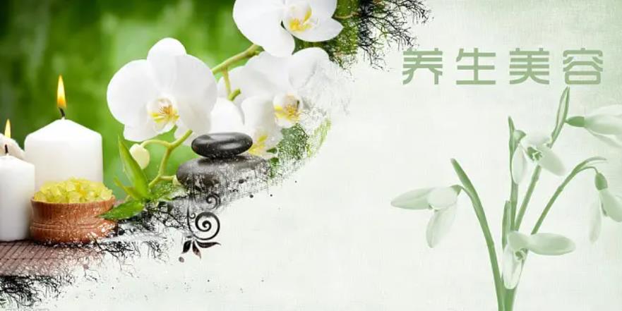 美容美体养生皮肤管理培训机构哪家好 美容美体养生皮肤管理培训机构哪家好