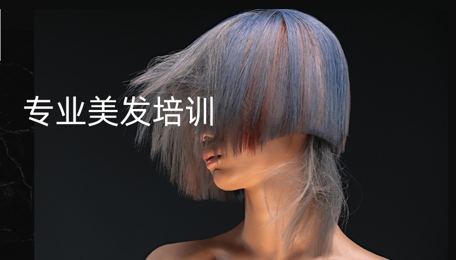 沈阳学理发美发职业技能培训学校