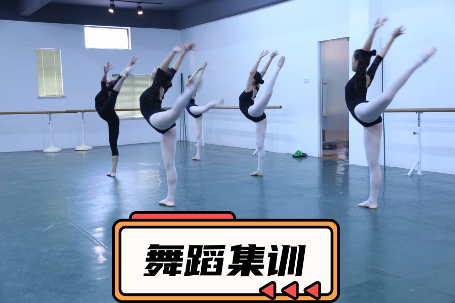 内蒙古专业的舞蹈艺考辅导学校.jpg 内蒙古专业的舞蹈艺考辅导学校.jpg