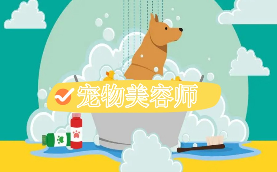 北京三大宠物美容师培训机构排名公布.jpg 北京三大宠物美容师培训机构排名公布.jpg
