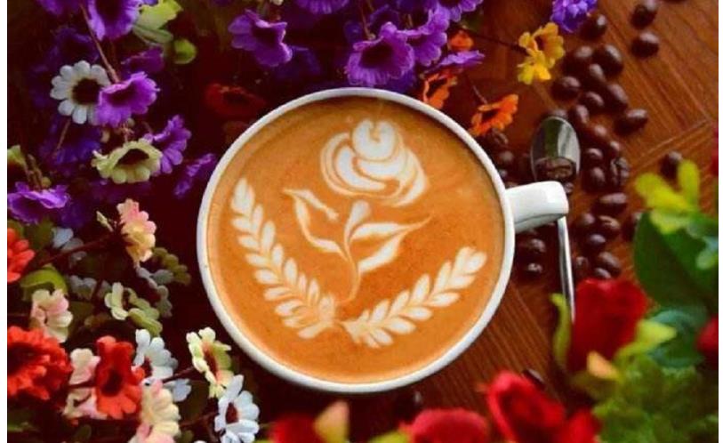 国内十大咖啡拉花师培训班口碑排名推荐