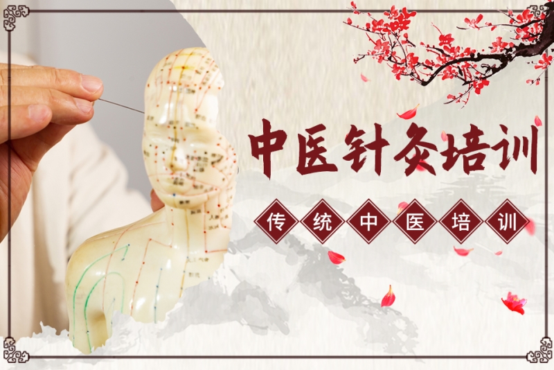 河北排名好的中医针灸培训机构推荐一览