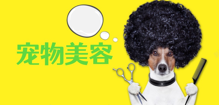 北京宠物美容护理培训学校排名top3名单出炉.jpg 北京宠物美容护理培训学校排名top3名单出炉.jpg