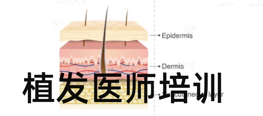 十大植发医师培训学校排名表-倾情推荐 十大植发医师培训学校排名表-倾情推荐
