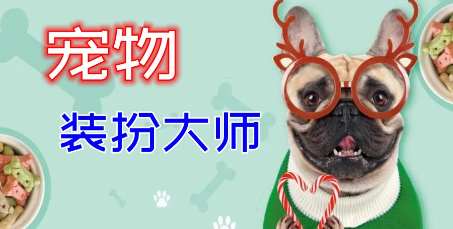 十大北京宠物美容师培训学校排名发布jpg