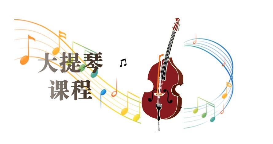 排名Top3的少儿大提琴在线教育平台推荐 排名Top3的少儿大提琴在线教育平台推荐