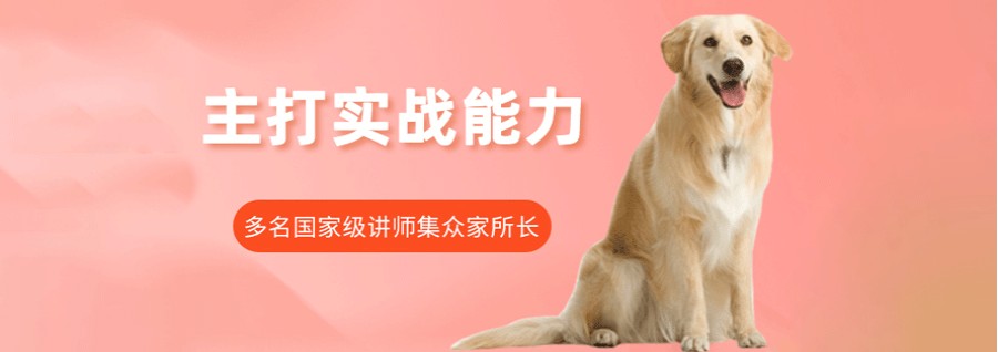 天津排名TOP3宠物美容正规培训学校名单jpg 天津排名TOP3宠物美容正规培训学校名单jpg