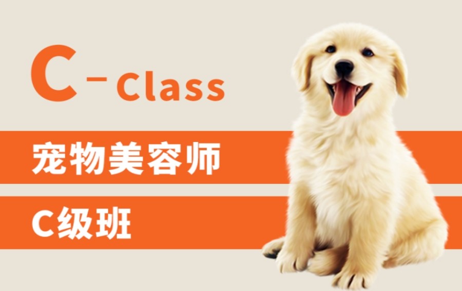 北京C级宠物美容师培训班口碑排名推荐.jpg 北京C级宠物美容师培训班口碑排名推荐.jpg