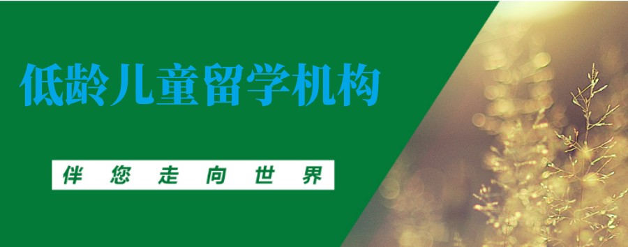 深圳英国低龄留学申请中介 深圳英国低龄留学申请中介