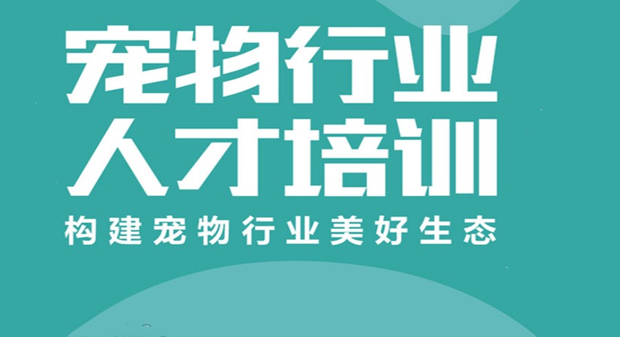 北京比较好的宠物美容技术培训学校五大排名.jpg 北京比较好的宠物美容技术培训学校五大排名.jpg