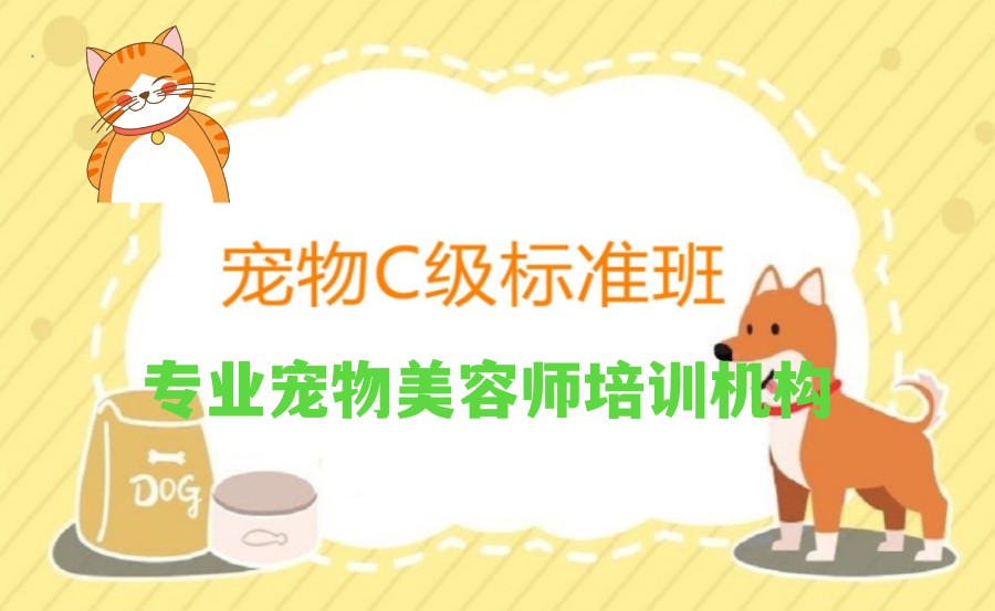 北京比较好的宠物美容技术培训学校五大排名.jpg 北京比较好的宠物美容技术培训学校五大排名.jpg