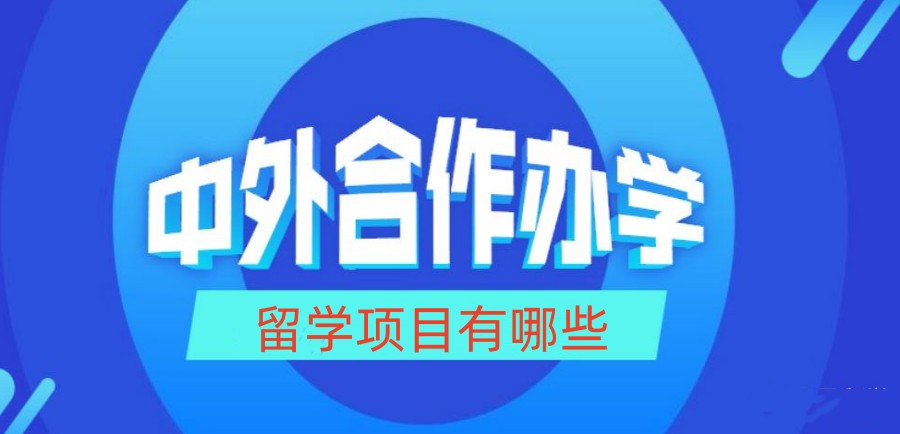 三大四川中外合作办学指导办理中介机构排行榜一览.jpg