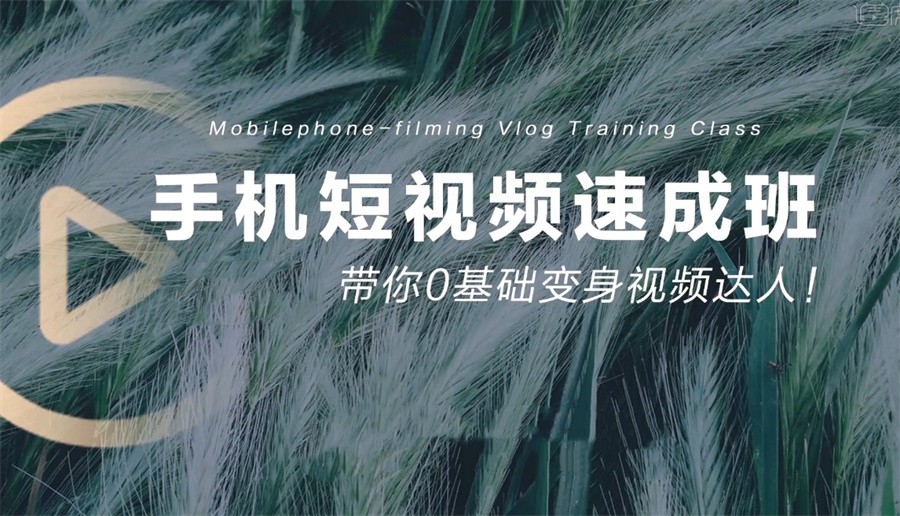 三大手机短视频培训基地排名表-沈阳学员推荐机构 三大手机短视频培训基地排名表-沈阳学员推荐机构