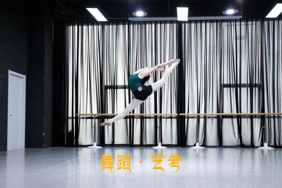 十大国内专业舞蹈艺考培训机构实力排行榜