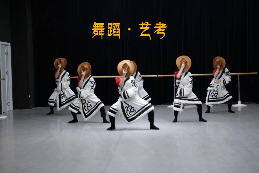 十大国内专业舞蹈艺考培训机构实力排行榜