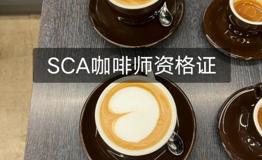 国内十大咖啡师sca考证培训学校