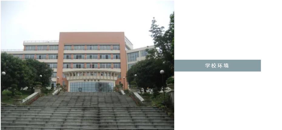 江门比较好的画画培训机构排行 江门比较好的画画培训机构排行