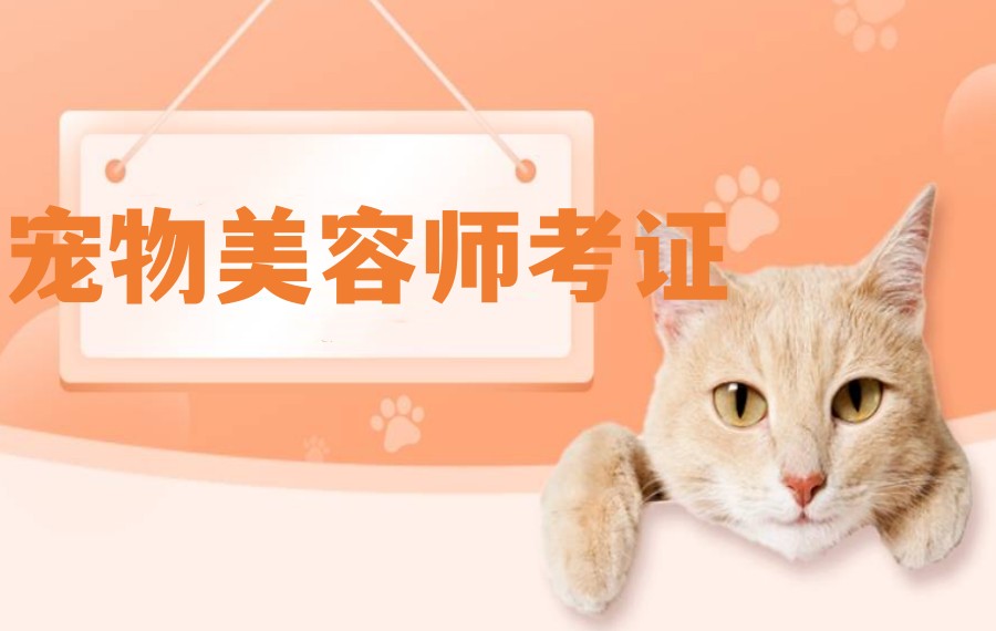 宠物美容师证书怎么考.jpg