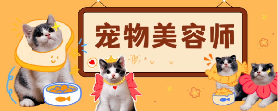 甄选专业的天津宠物美容培训班5大排名.jpg 甄选专业的天津宠物美容培训班5大排名.jpg