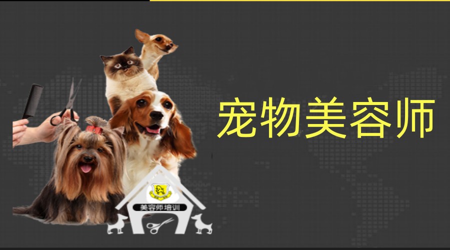 河北学宠物美容技术甄选机构排名前5名单简介.jpg 河北学宠物美容技术甄选机构排名前5名单简介.jpg