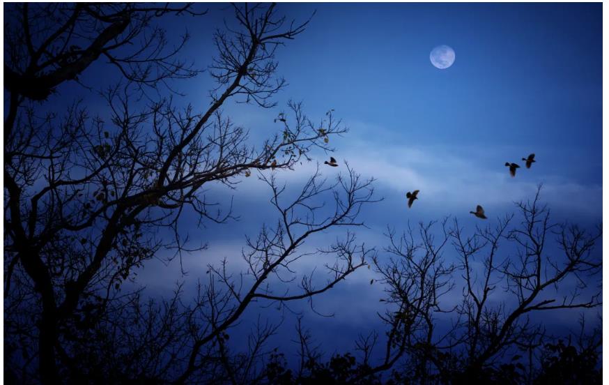 广东江门排名好的摄影培训班推荐一览 广东江门排名好的摄影培训班推荐一览