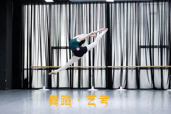 2024届南京排名top10舞蹈艺考集训学校名单