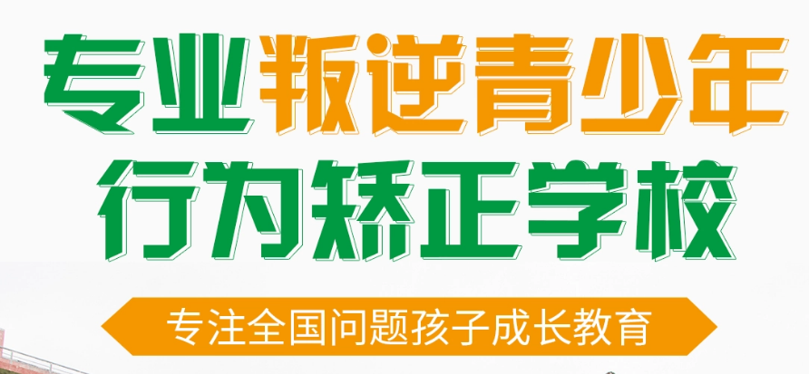自闭症康复培训机构五大排名榜单一览表