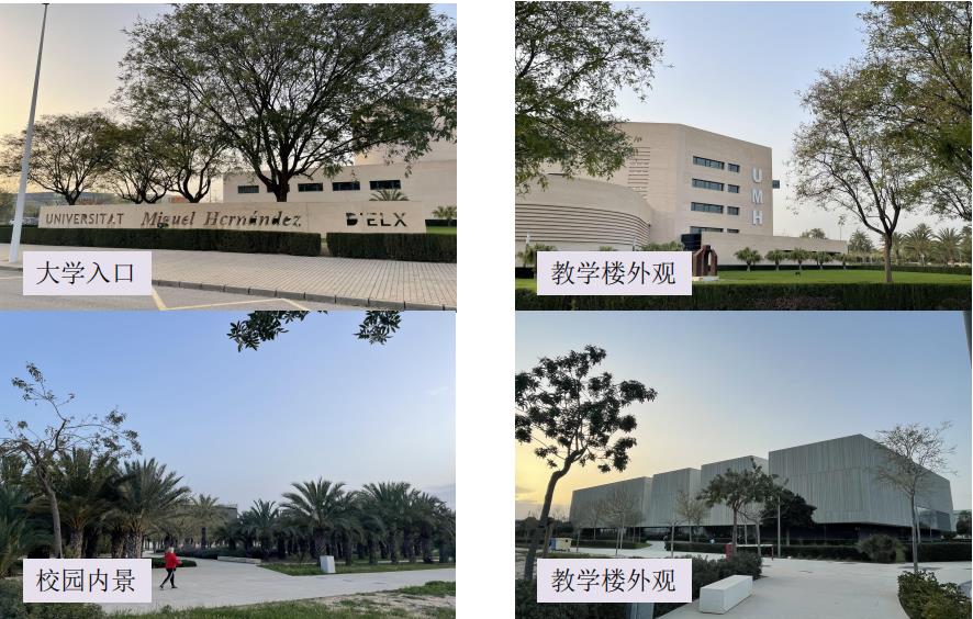 西班牙一年制官硕专升硕2024招生简章已发布