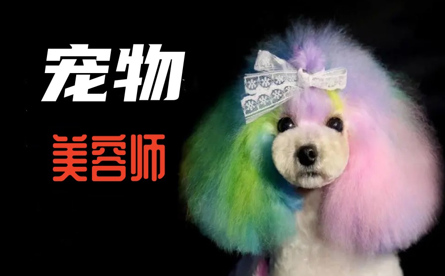 十大宠物美容师培训学校排名发布.jpg