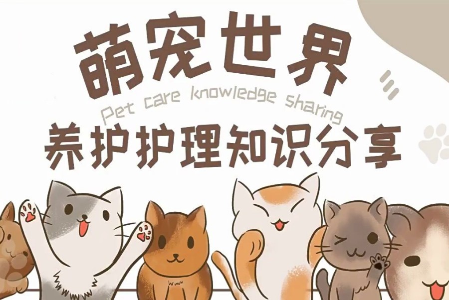 北京正规宠物美容培训学校推荐.jpg 北京正规宠物美容培训学校推荐.jpg