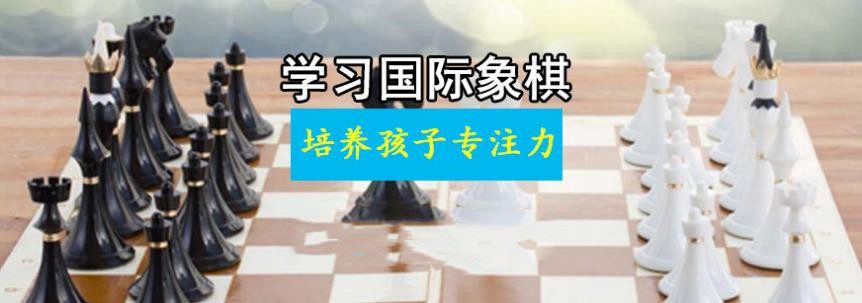 国内五大专业国际象棋培训机构口碑排名