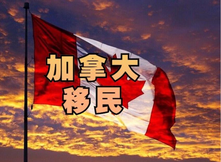 深圳香港身份移民加拿大的中介机构 深圳香港身份移民加拿大的中介机构