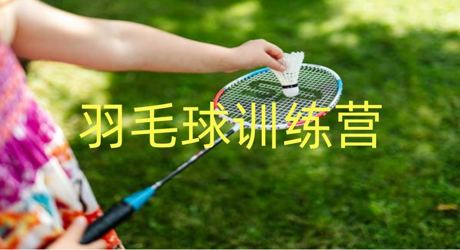 天津盘点排名前十的羽毛球培训专业机构名单一览.jpg