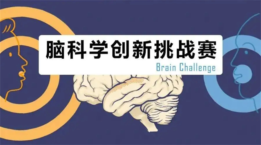 BrainBee脑科学活动竞赛辅导机构top3一览表-国际生物竞赛