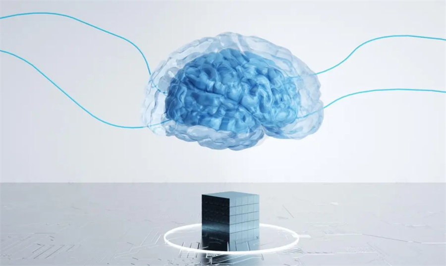 BrainBee脑科学活动竞赛辅导机构top3一览表-国际生物竞赛